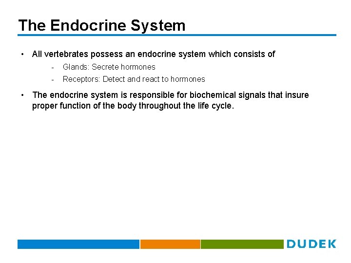 The Endocrine System • All vertebrates possess an endocrine system which consists of -