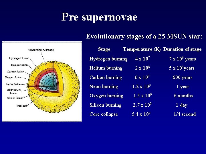 Pre supernovae Evolutionary stages of a 25 MSUN star: Stage Temperature (K) Duration of