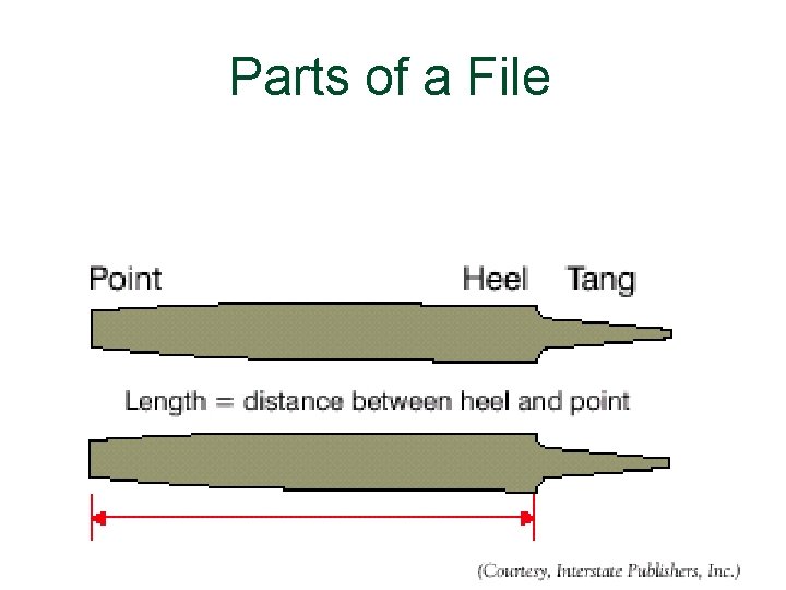 Parts of a File 