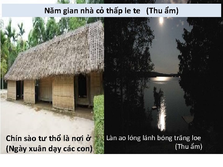 Năm gian nhà cỏ thấp le te (Thu ẩm) Chín sào tư thổ là