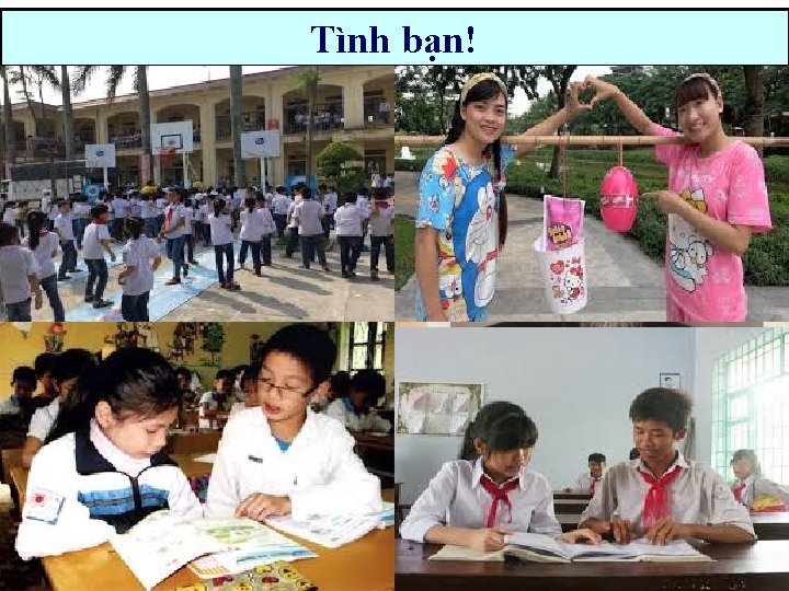 Tình bạn! Dương Khuê Bá Nha – Tử Kỳ 