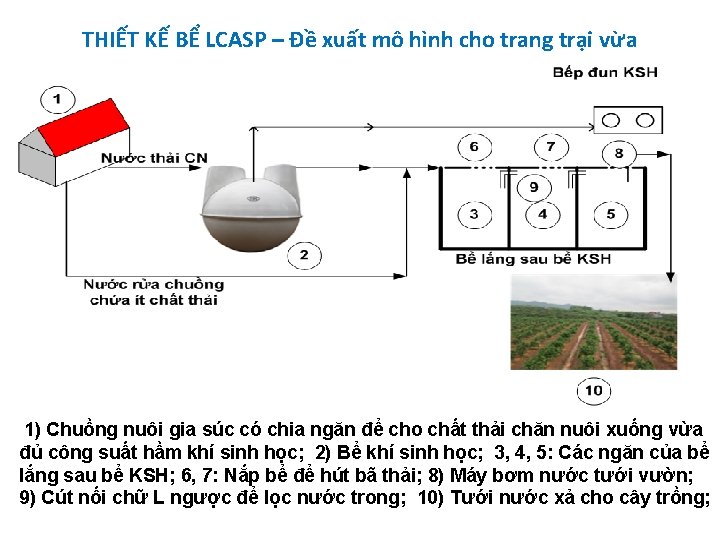 THIẾT KẾ BỂ LCASP – Đề xuất mô hình cho trang trại vừa 1)