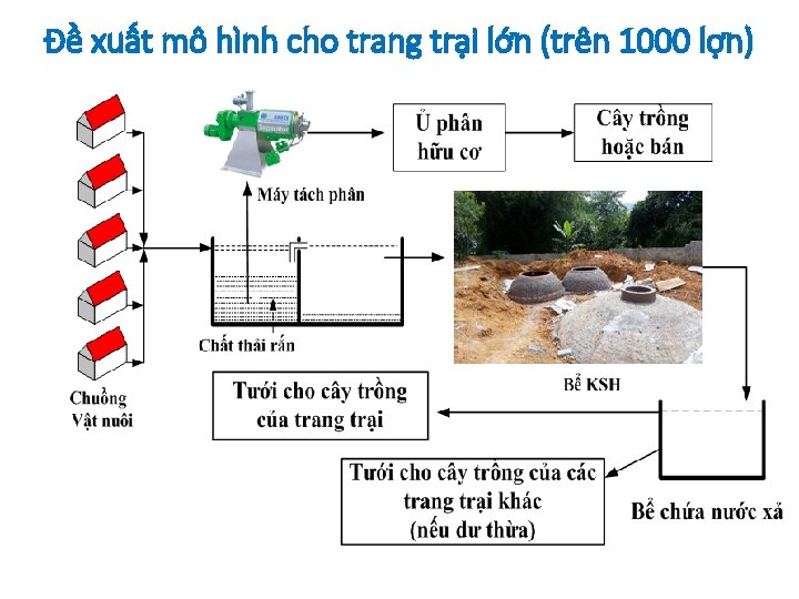 Đề xuất mô hình cho trang trại lớn (trên 1000 lợn) 