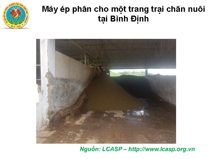 Máy ép phân cho một trang trại chăn nuôi tại Bình Định 