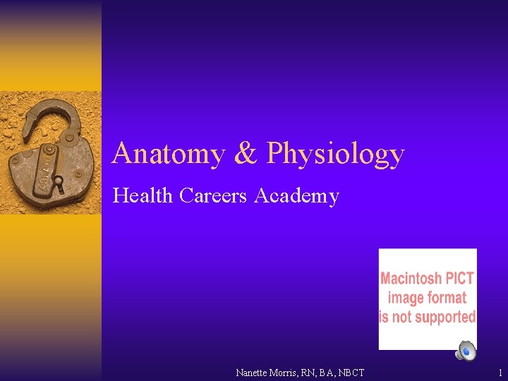 Anatomy & Physiology Health Careers Academy Nanette Morris, RN, BA, NBCT 1 