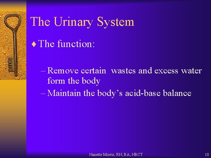 The Urinary System ¨ The function: – Remove certain wastes and excess water form