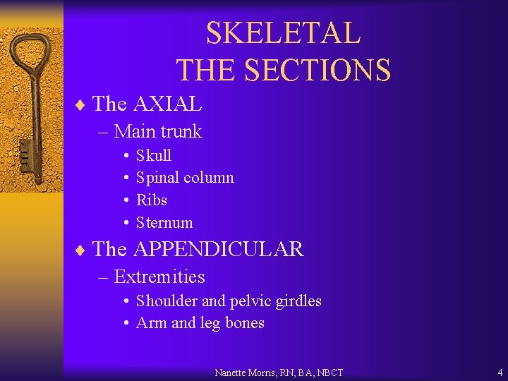 SKELETAL THE SECTIONS ¨ The AXIAL – Main trunk • • Skull Spinal column