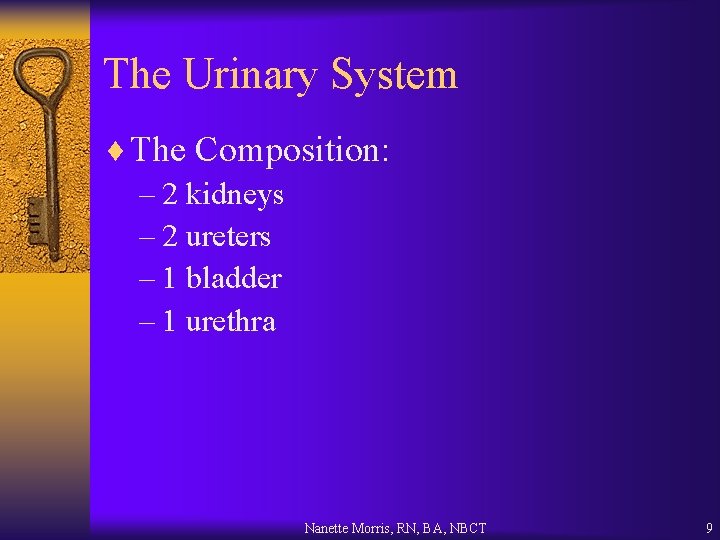 The Urinary System ¨ The Composition: – 2 kidneys – 2 ureters – 1