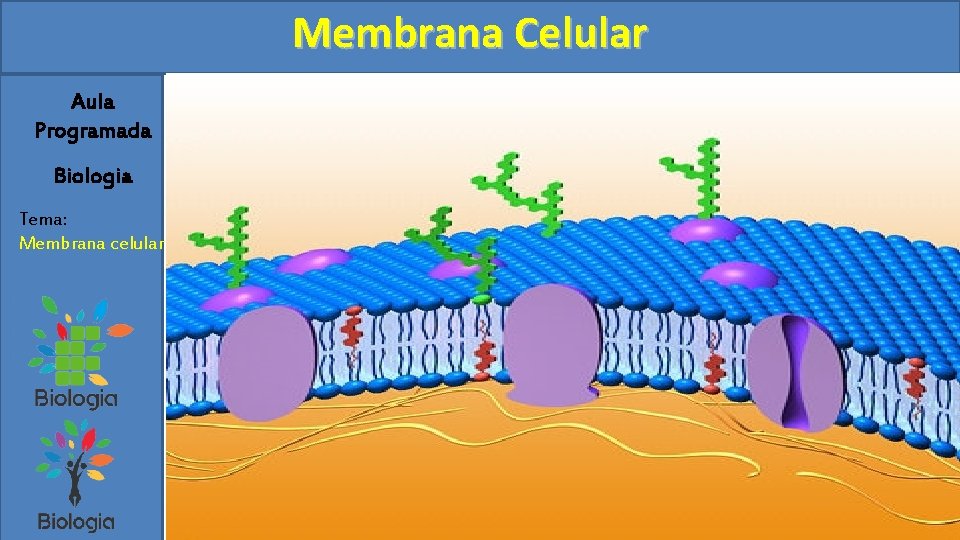Membrana Celular Aula Programada Biologia Tema: Membrana celular 