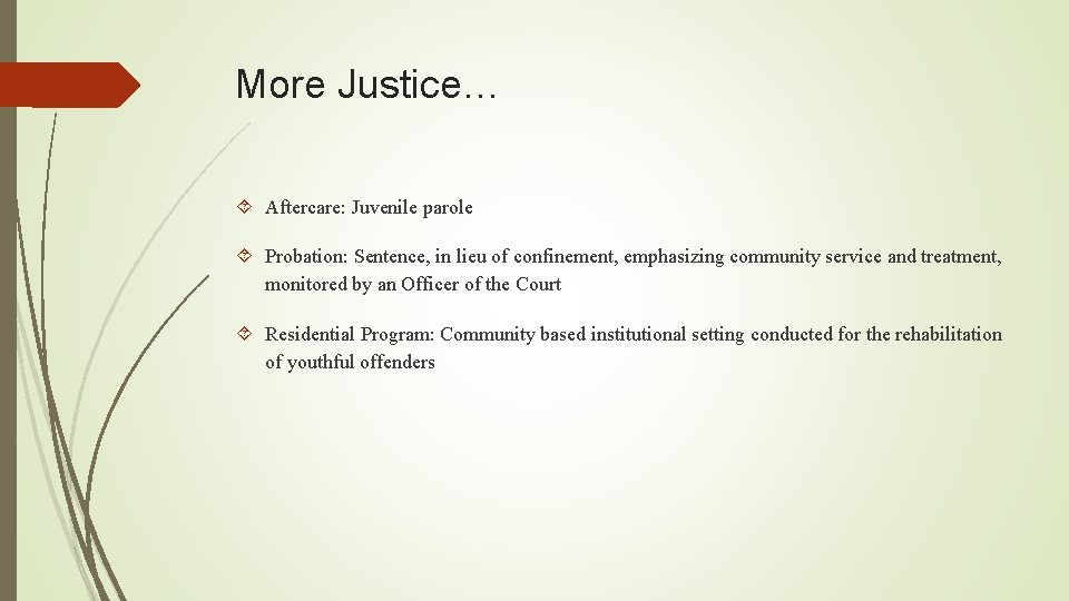 More Justice… Aftercare: Juvenile parole Probation: Sentence, in lieu of confinement, emphasizing community service More Justice… Aftercare: Juvenile parole Probation: Sentence, in lieu of confinement, emphasizing community service