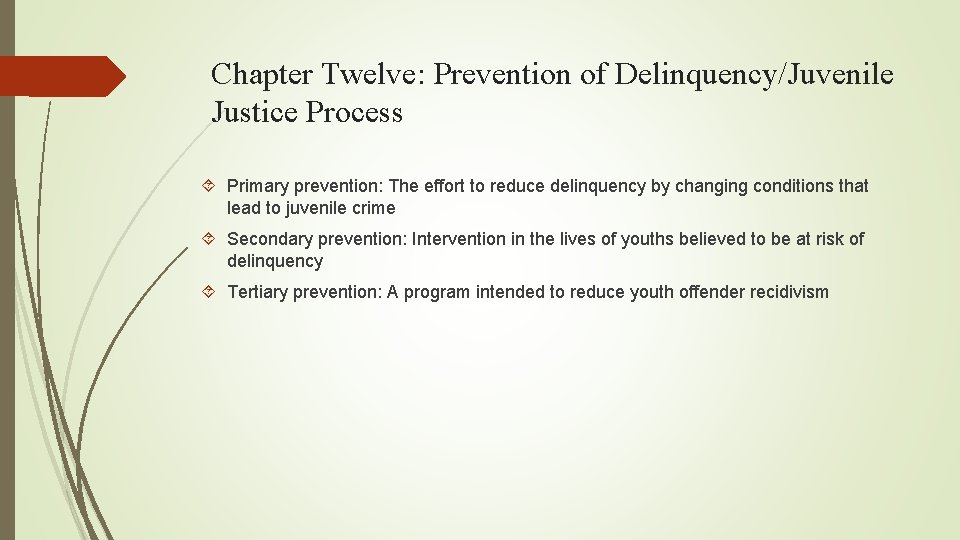 Chapter Twelve: Prevention of Delinquency/Juvenile Justice Process Primary prevention: The effort to reduce delinquency Chapter Twelve: Prevention of Delinquency/Juvenile Justice Process Primary prevention: The effort to reduce delinquency