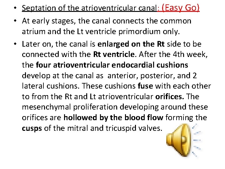  • Septation of the atrioventricular canal: (Easy Go) • At early stages, the