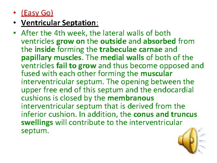  • (Easy Go) • Ventricular Septation: • After the 4 th week, the