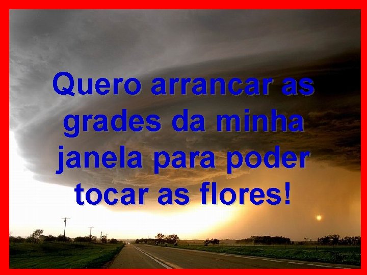 Quero arrancar as grades da minha janela para poder tocar as flores! 