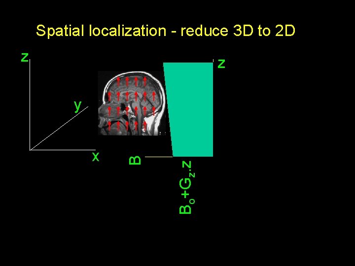 Spatial localization - reduce 3 D to 2 D z z Bo+Gz. z x