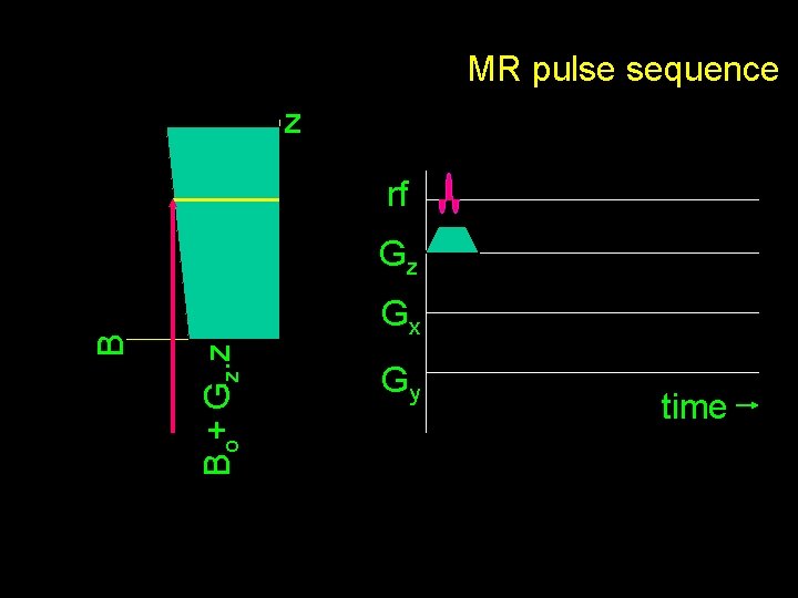 MR pulse sequence z rf Gx Bo+ Gz. z B Gz Gy time 