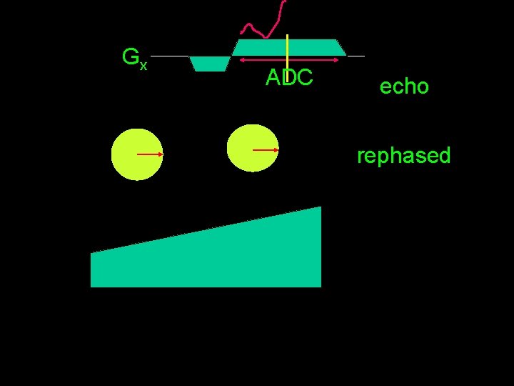 Gx ADC echo rephased 