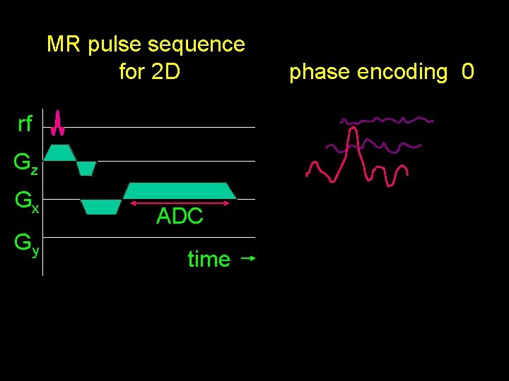 MR pulse sequence for 2 D rf Gz Gx Gy ADC time phase encoding