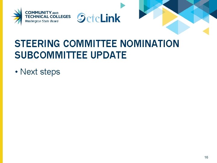 STEERING COMMITTEE NOMINATION SUBCOMMITTEE UPDATE • Next steps 16 