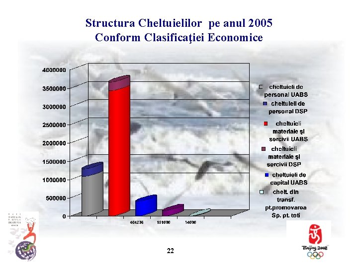 Structura Cheltuielilor pe anul 2005 Conform Clasificaţiei Economice 22 