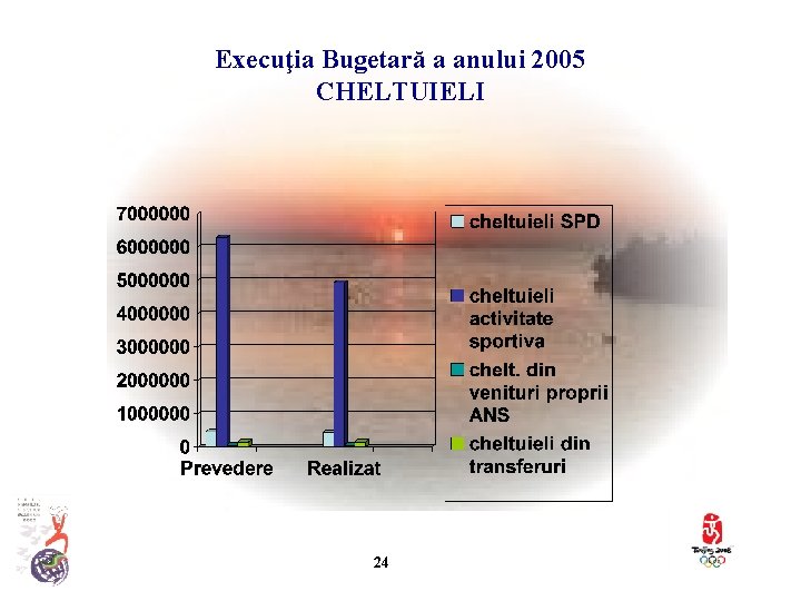 Execuţia Bugetară a anului 2005 CHELTUIELI 24 