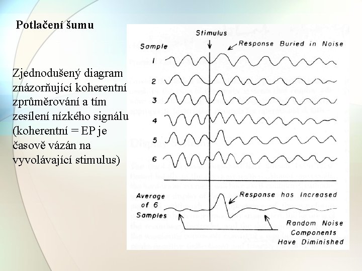 Potlačení šumu Zjednodušený diagram znázorňující koherentní zprůměrování a tím zesílení nízkého signálu (koherentní =