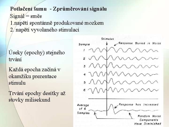 Potlačení šumu - Zprůměrování signálu Signál = směs 1. napětí spontánně produkované mozkem 2.