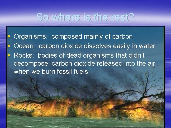 So where is the rest? § § § Organisms: composed mainly of carbon Ocean:
