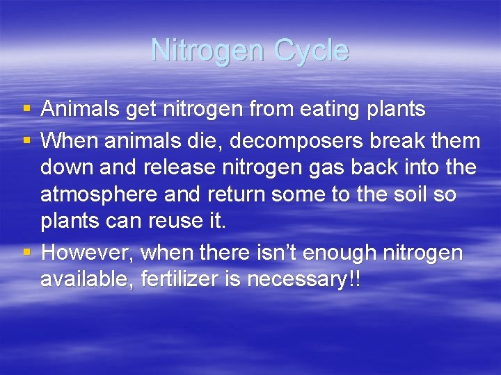 Nitrogen Cycle § Animals get nitrogen from eating plants § When animals die, decomposers