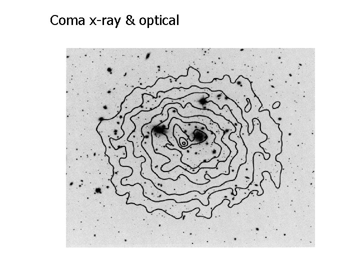 Coma x-ray & optical 