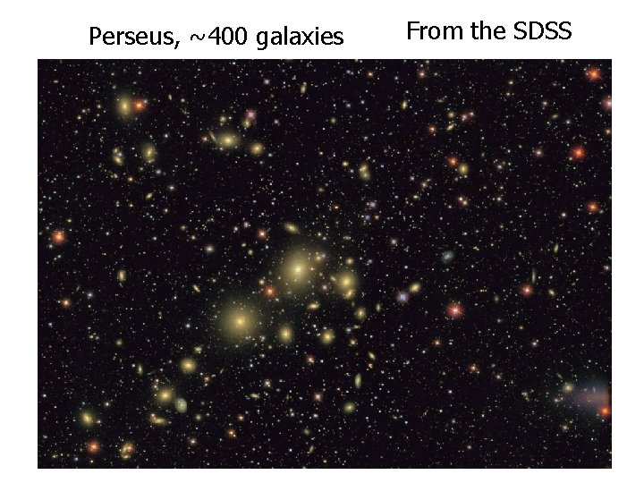 Perseus, ~400 galaxies From the SDSS 