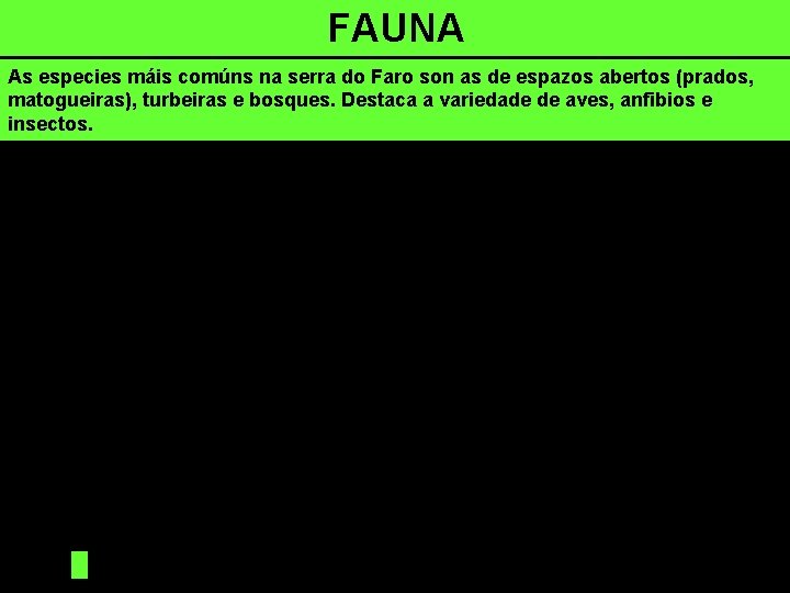 FAUNA As especies máis comúns na serra do Faro son as de espazos abertos