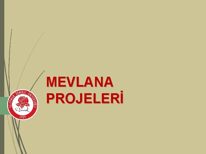 MEVLANA PROJELERİ 