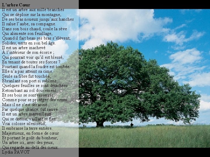 L’arbre Cœur Il est un arbre aux mille branches Qui se déploie sur la