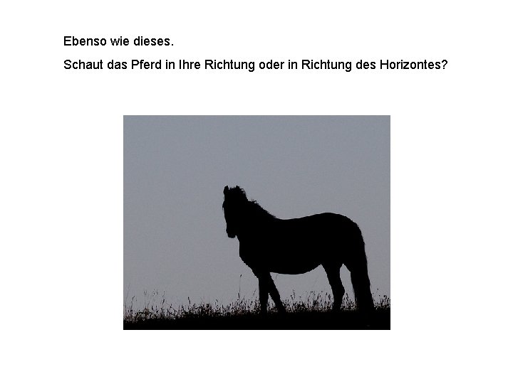 Ebenso wie dieses. Schaut das Pferd in Ihre Richtung oder in Richtung des Horizontes?