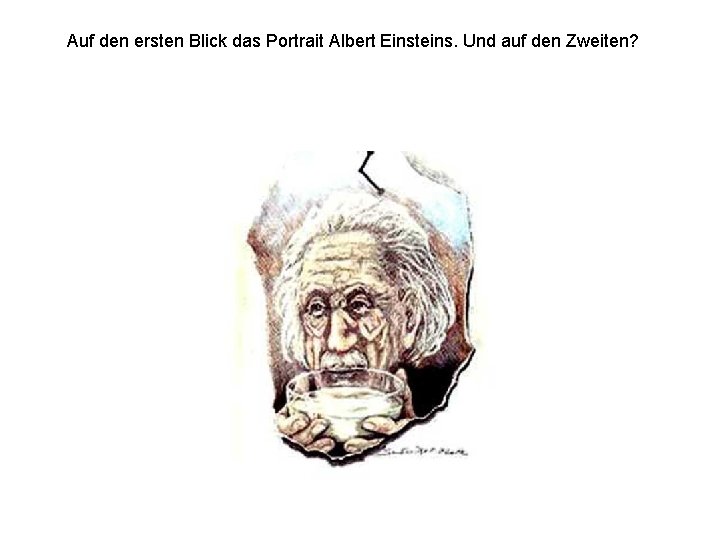 Auf den ersten Blick das Portrait Albert Einsteins. Und auf den Zweiten? 