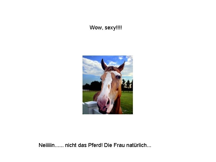 Wow, sexy!!!! Neiiiiin. . . nicht das Pferd! Die Frau natürlich. . . 