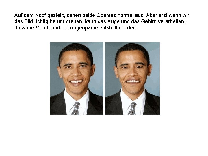 Auf dem Kopf gestellt, sehen beide Obamas normal aus. Aber erst wenn wir das