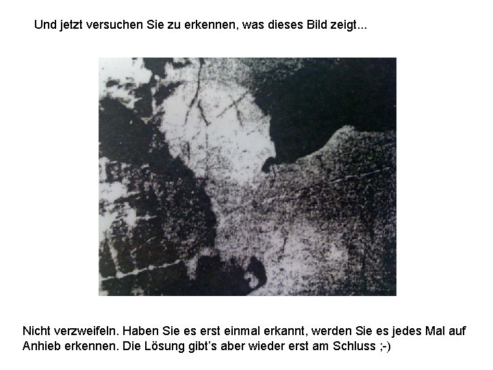 Und jetzt versuchen Sie zu erkennen, was dieses Bild zeigt. . . Nicht verzweifeln.