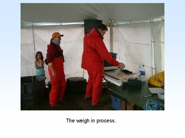 The weigh in process. 
