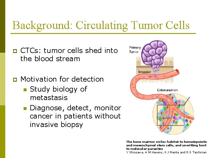 Isolation of Rare Circulating Tumor Cells in Cancer