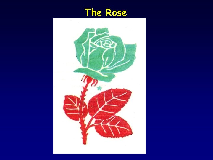 The Rose 