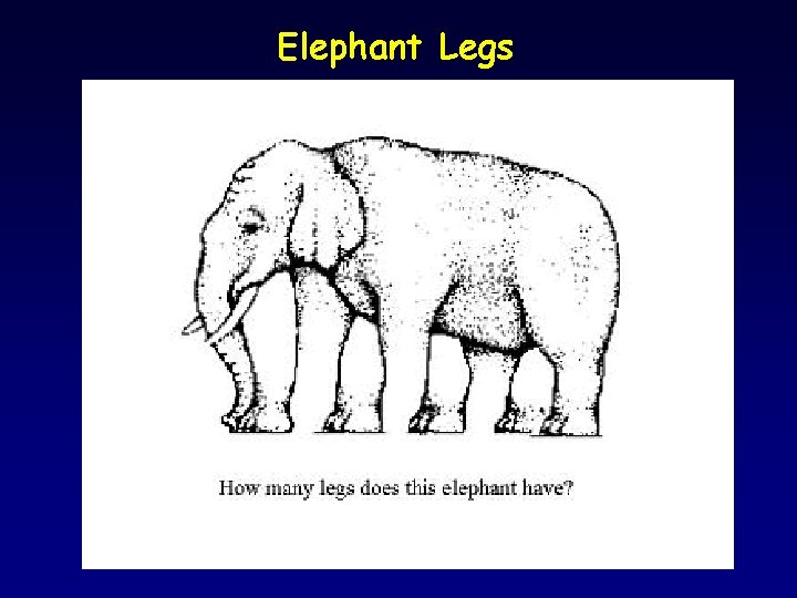 Elephant Legs 