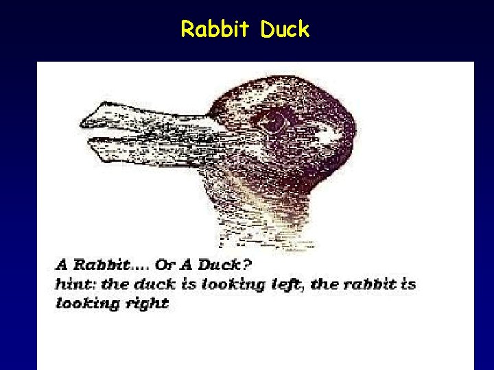Rabbit Duck 