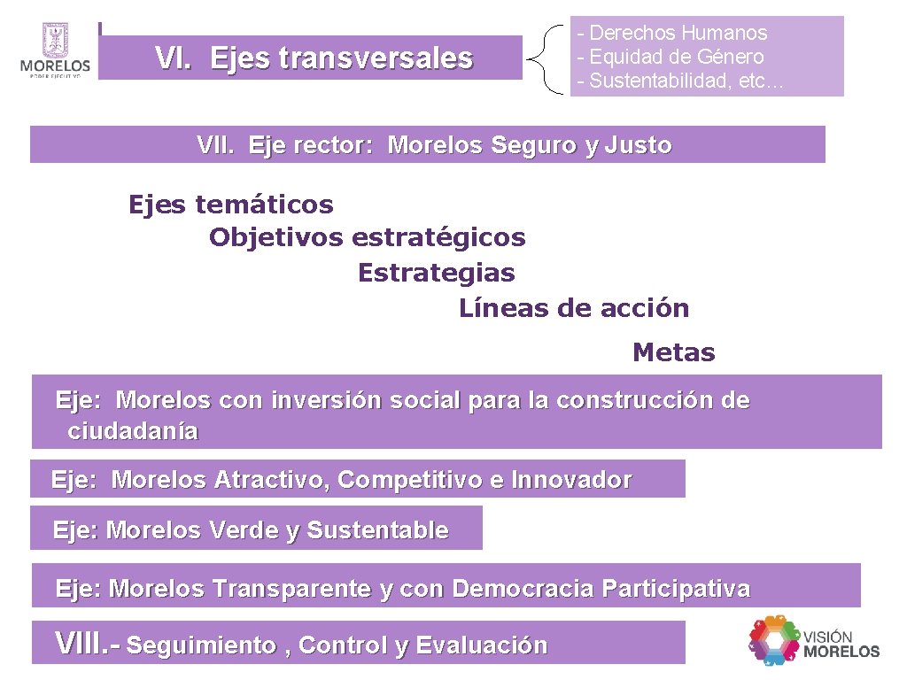 VI. Ejes transversales - Derechos Humanos - Equidad de Género - Sustentabilidad, etc… VII.