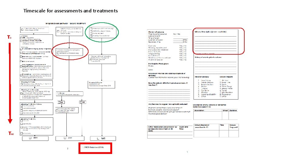 Timescale for assessments and treatments T 0 T 60 