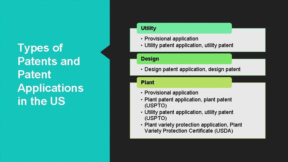 Utility Types of Patents and Patent Applications in the US • Provisional application •