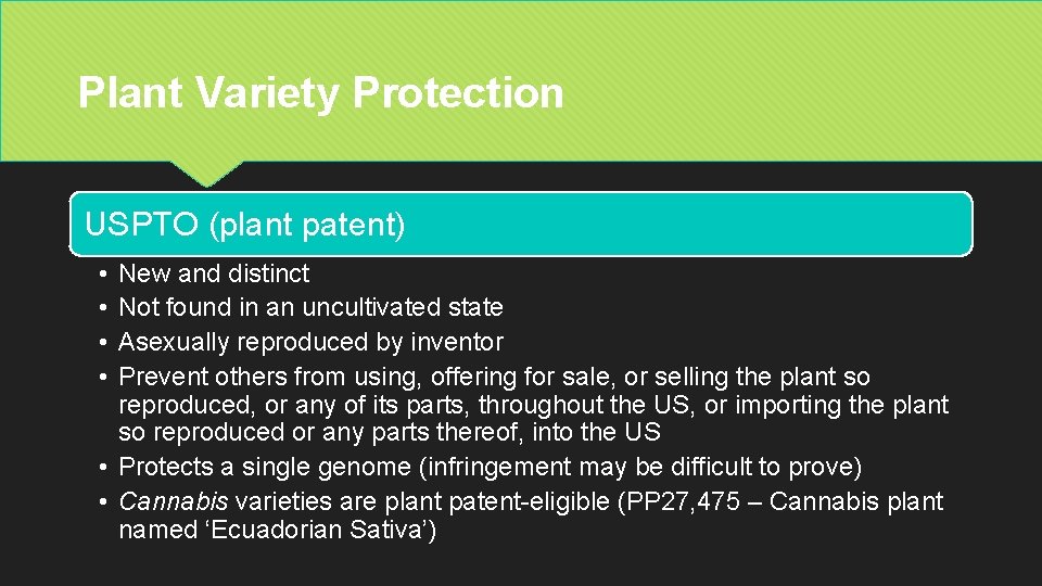 Plant Variety Protection USPTO (plant patent) • • New and distinct Not found in