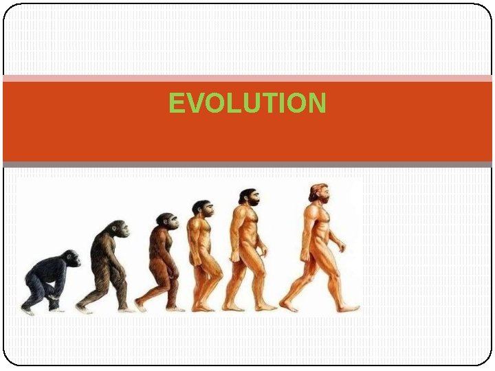 EVOLUTION 