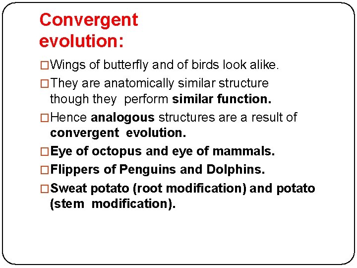 Convergent evolution: �Wings of butterfly and of birds look alike. �They are anatomically similar